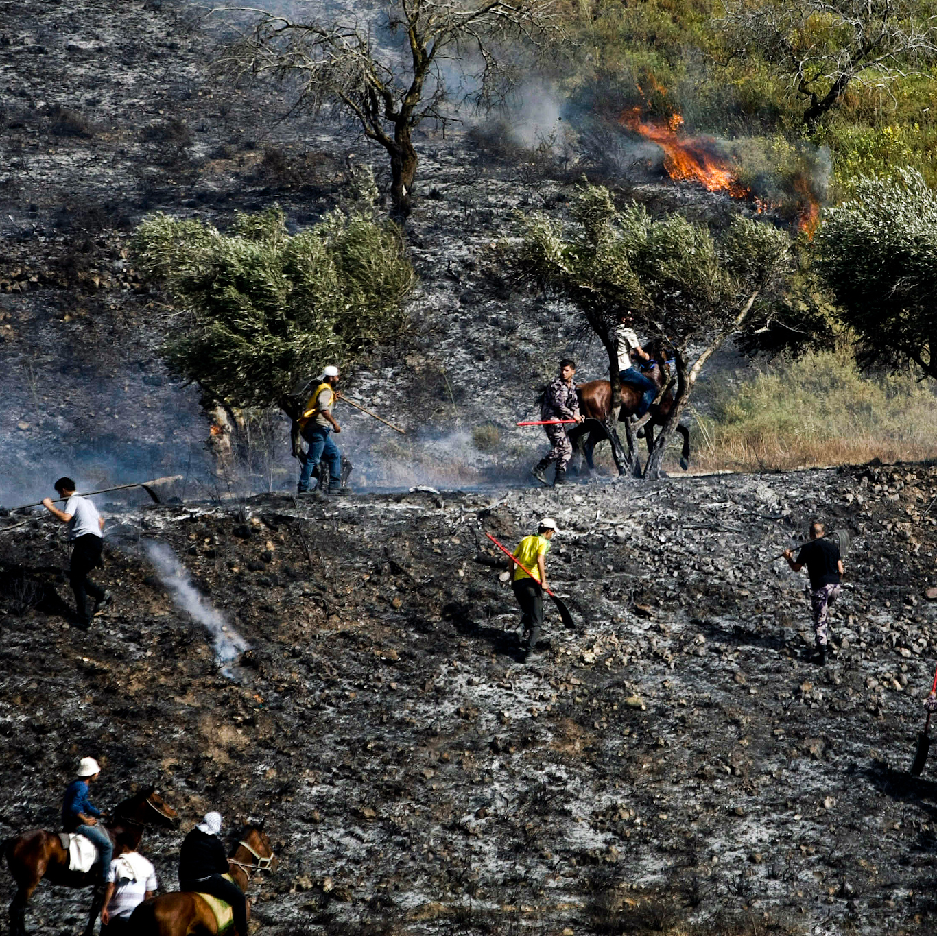 Israel medio ambiente