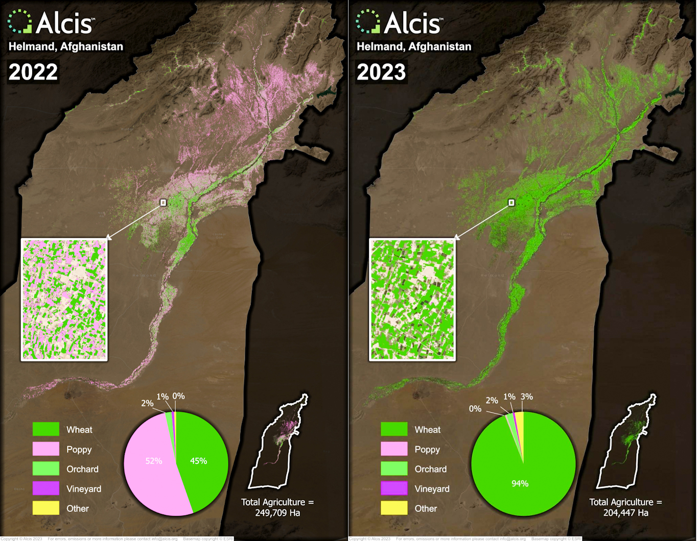 Data from Alcis shows that a majority of Afghan farmers switched from growing poppy to wheat in a single year.