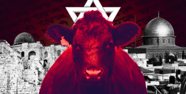 Red Heifer Project